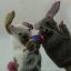 Knitted Easter Bunny Hand Puppet